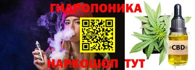 индика Кулебаки