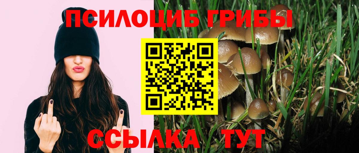 Галлюциногенные грибы GOLDEN TEACHER Зеленогорск