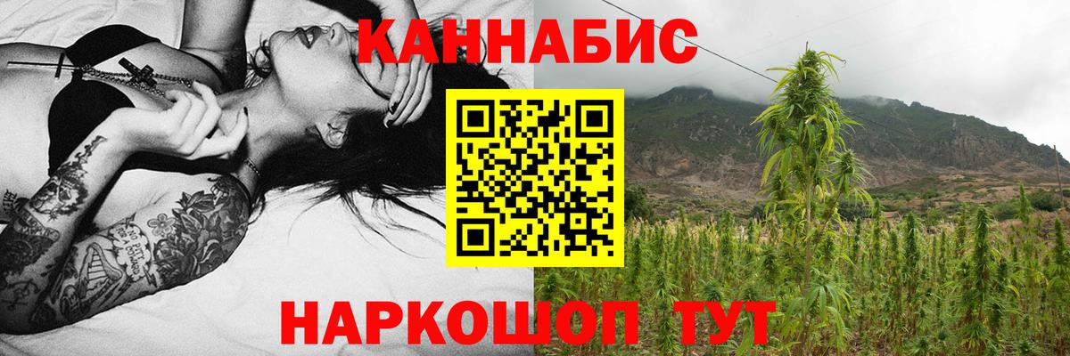 Каннабис конопля  Шишки марихуана конопля  Зеленогорск  Шишки марихуана семена  МАРИХУАНА план  Вход с VPN 
